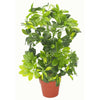 Leaf Artificial Arboricola Plant 75cm Gold Planter