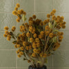 Pack of 6 x 85cm Craspedia Stem Yellow Artificial - Premium Quality