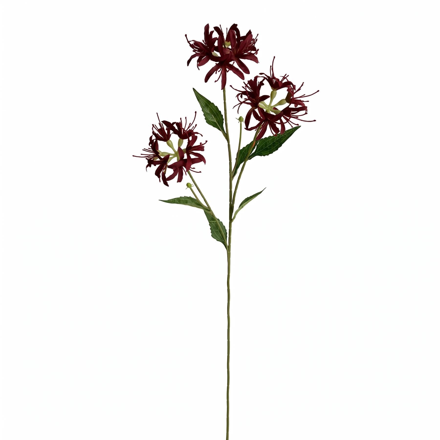 Pack of 6 x 72cm Artificial Burgundy Spider Lily Stems