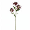 Pack of 6 x 72cm Artificial Burgundy Spider Lily Stems