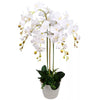 Artificial Deluxe Bush Orchid White 85cm Bush Orchid Lots Flowers