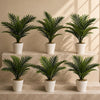 Pack of 6 x 50cm Artificial Mini Palm Tree - Premium Quality