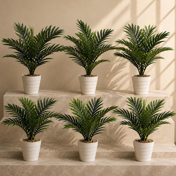 Pack of 6 x 50cm Artificial Mini Palm Tree - Premium Quality
