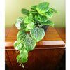 Artificial Trailing Green Potted Pothos Plant Botanik