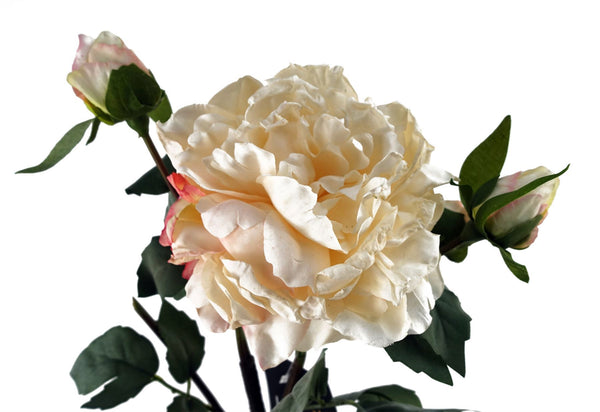 6 x 60cm Peony Artificial Flower Cream - 6 flowers 18 buds - Premium Quality