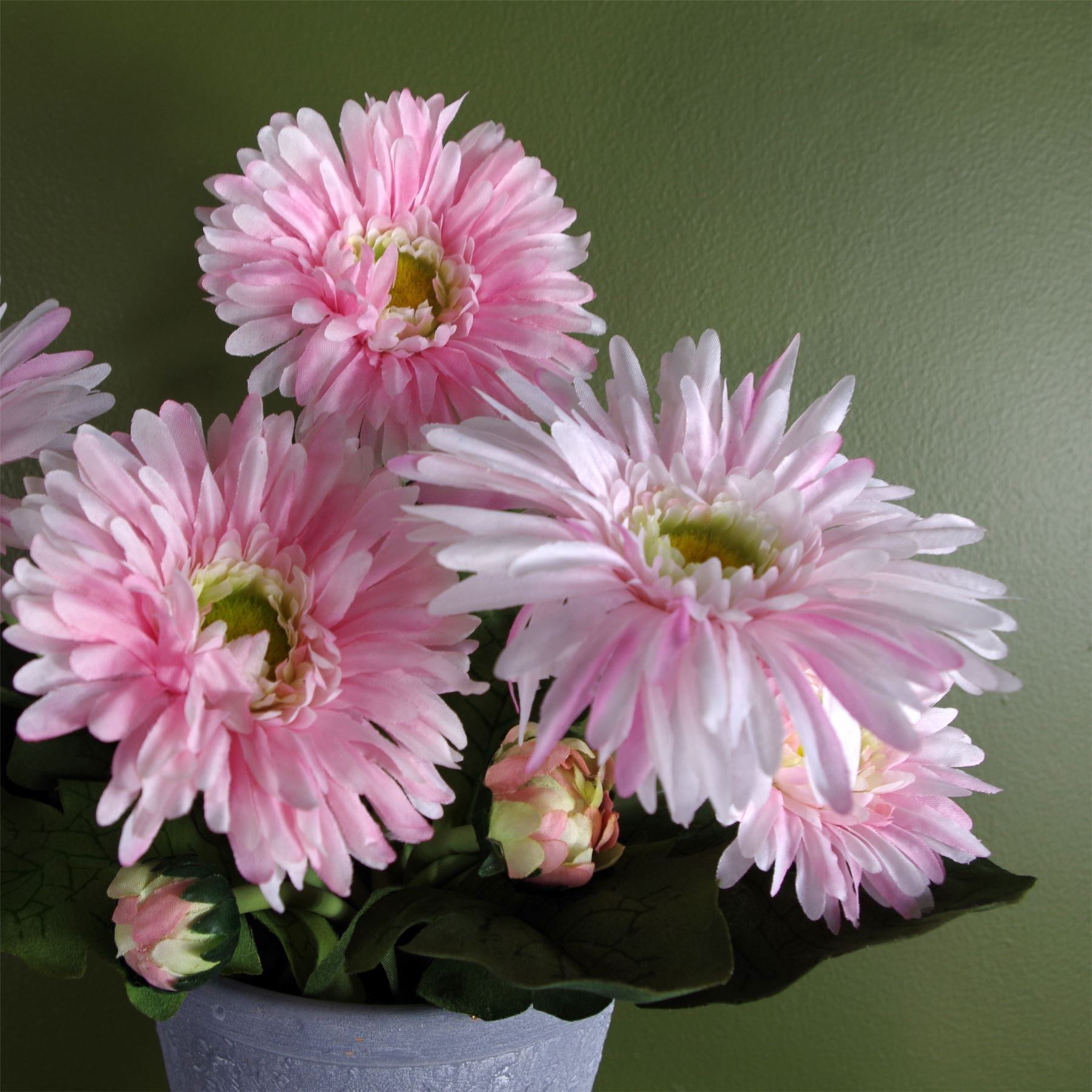 Pink Daisy Flowers Plant Flowering Plant Artificial Botanik