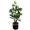 60cm Artificial Aglaia Odorata Bonsai Ficus Tree - Premium Quality