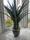 90cm (3ft) Artificial Yukka Plant