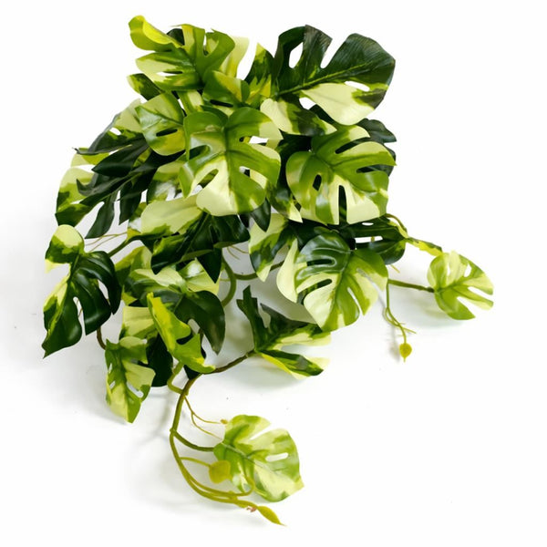 25cm Artificial Trailing Variegated Monstera Vine Plant - Premium Quality