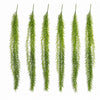 Pack of 6 x 100cm Artificial Trailing Rhipsalis Style Hanging Plant - Dark Green Tips