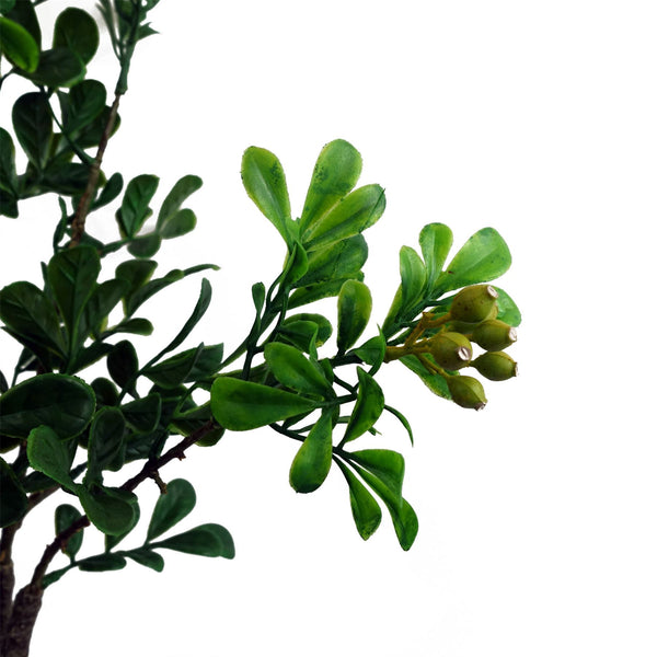 60cm Artificial Aglaia Odorata Bonsai Ficus Tree - Premium Quality