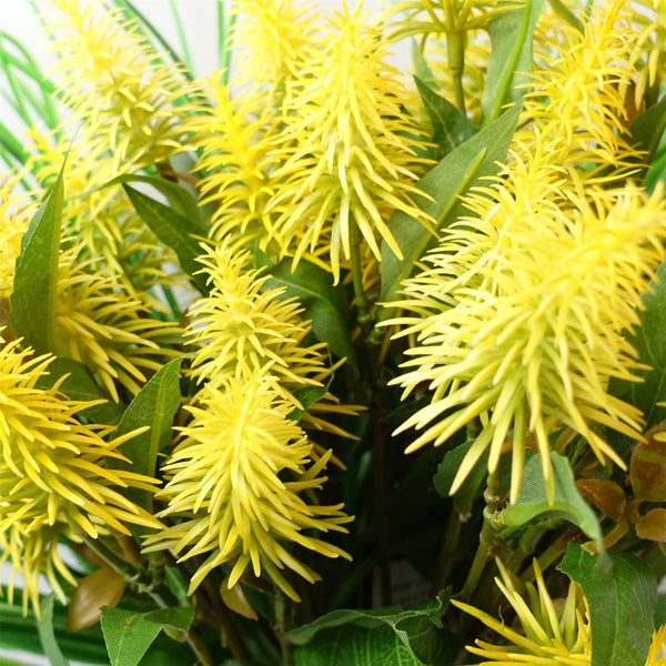 Pack of 6 x 55cm Callistemon Pallidus Yellow Bottle Brush Stem