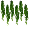 6 x 100cm Hanging String of Pearls Fern Plant Light Green - Premium Quality