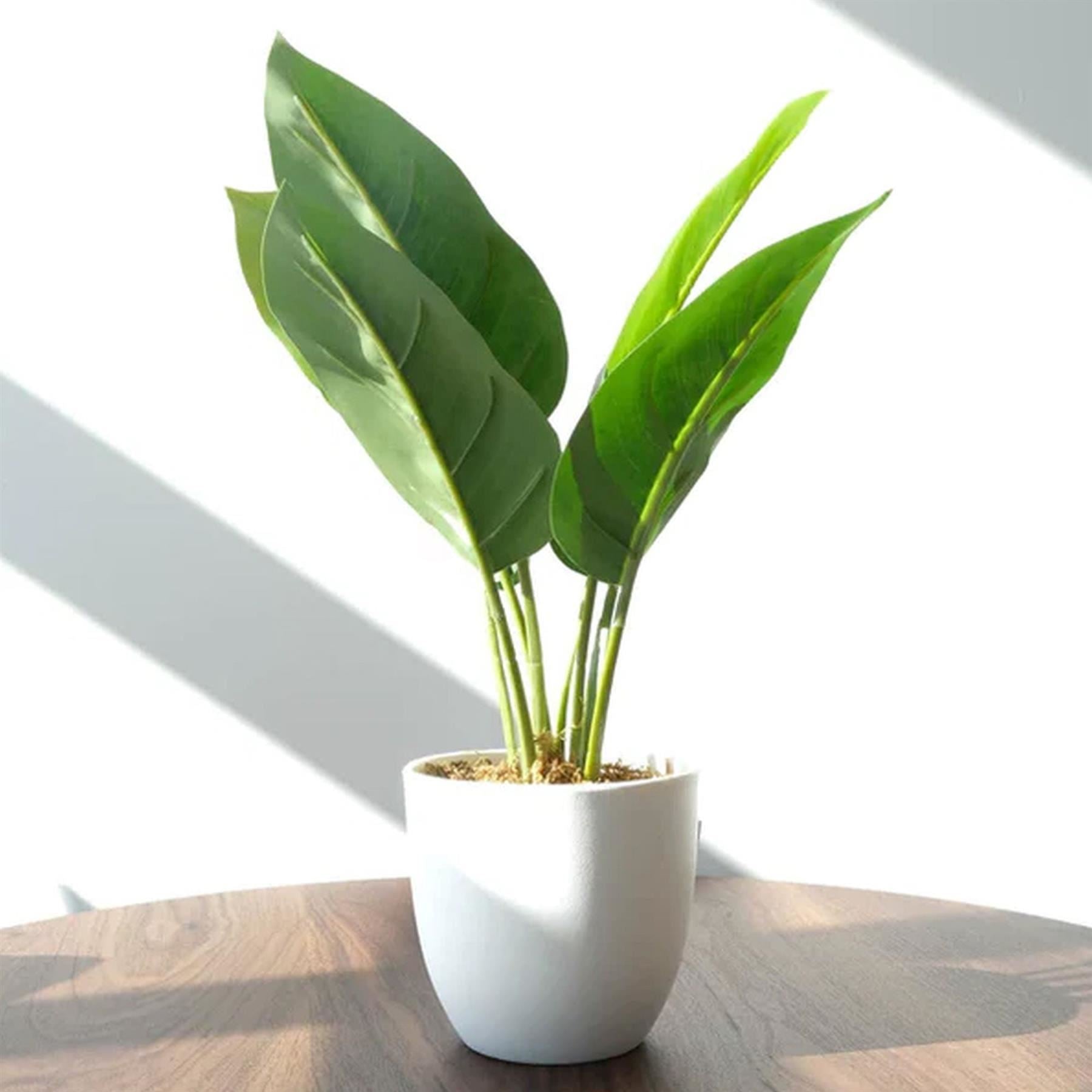 Pack of 6 x 45cm Artificial Aureum Plant - Premium Quality