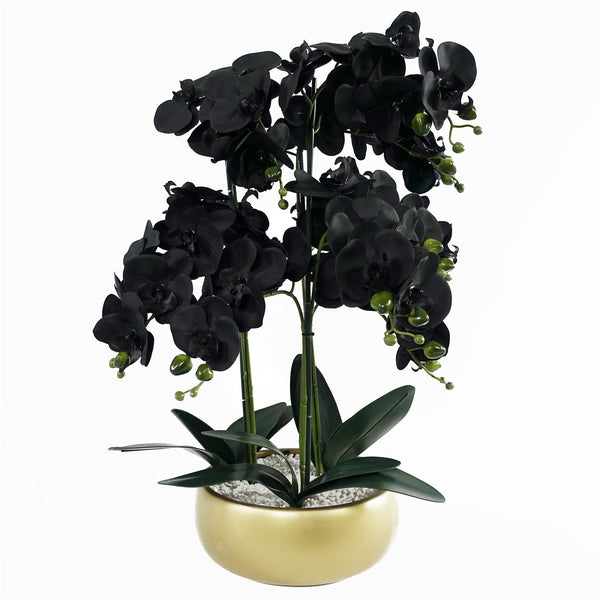 Orchid Black - White Ceramic Planter