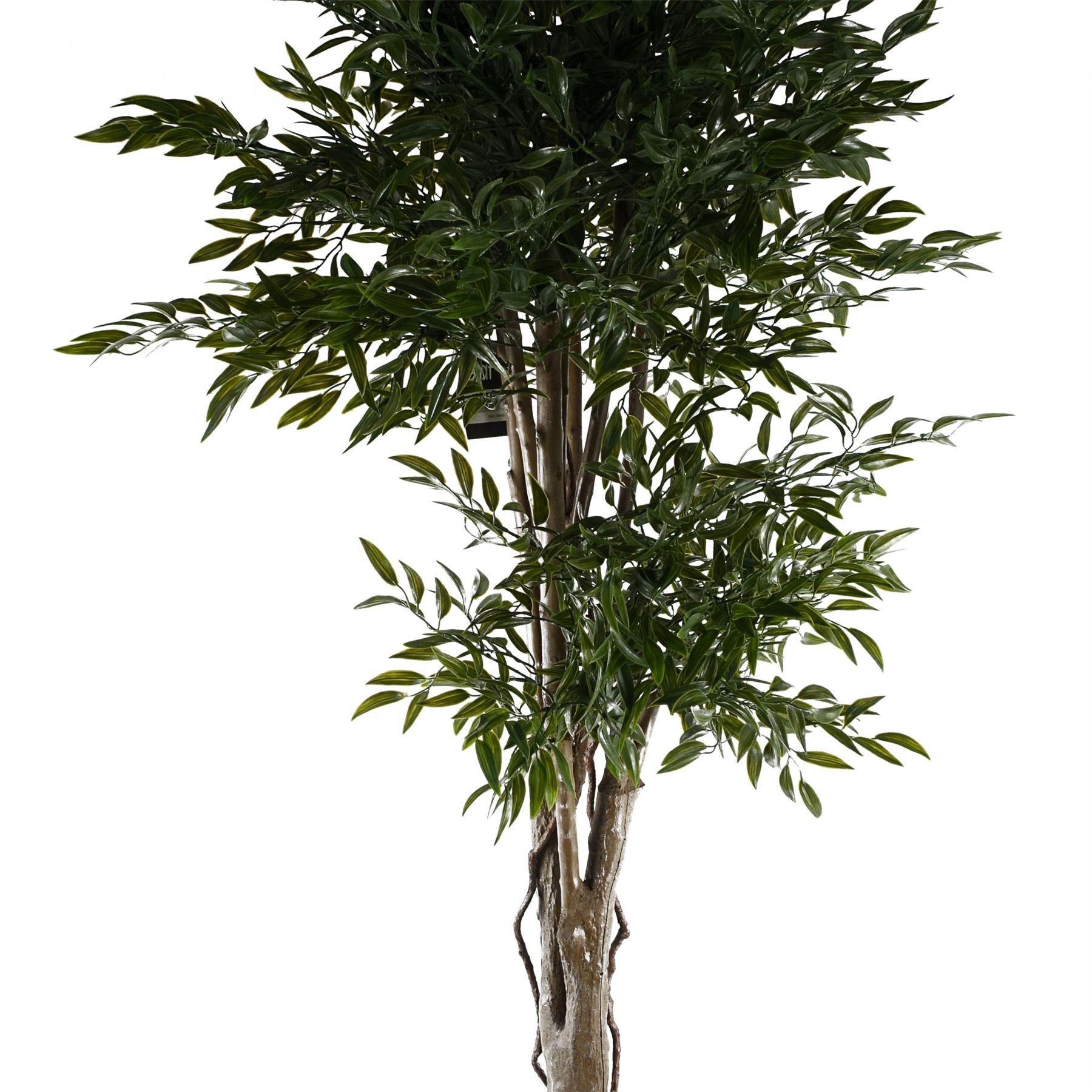 Artificial Plant Ruscus Tree- 2716 leaves UV PROTECTED OUTDOOR Botanik