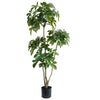 150cm Radermachera Realistic Artificial Tree - Premium Quality