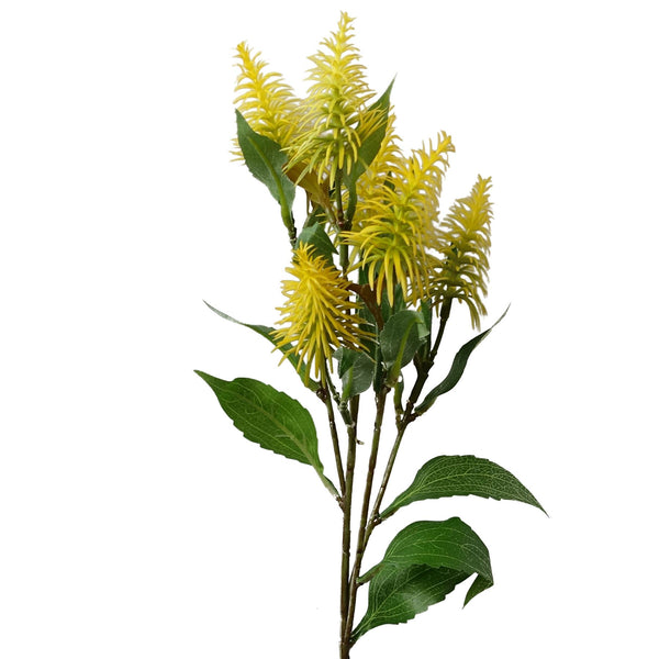 Pack of 6 x 55cm Callistemon Pallidus Yellow Bottle Brush Stem