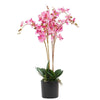Artificial Orchid Flower Display in Pot 60cm Pink