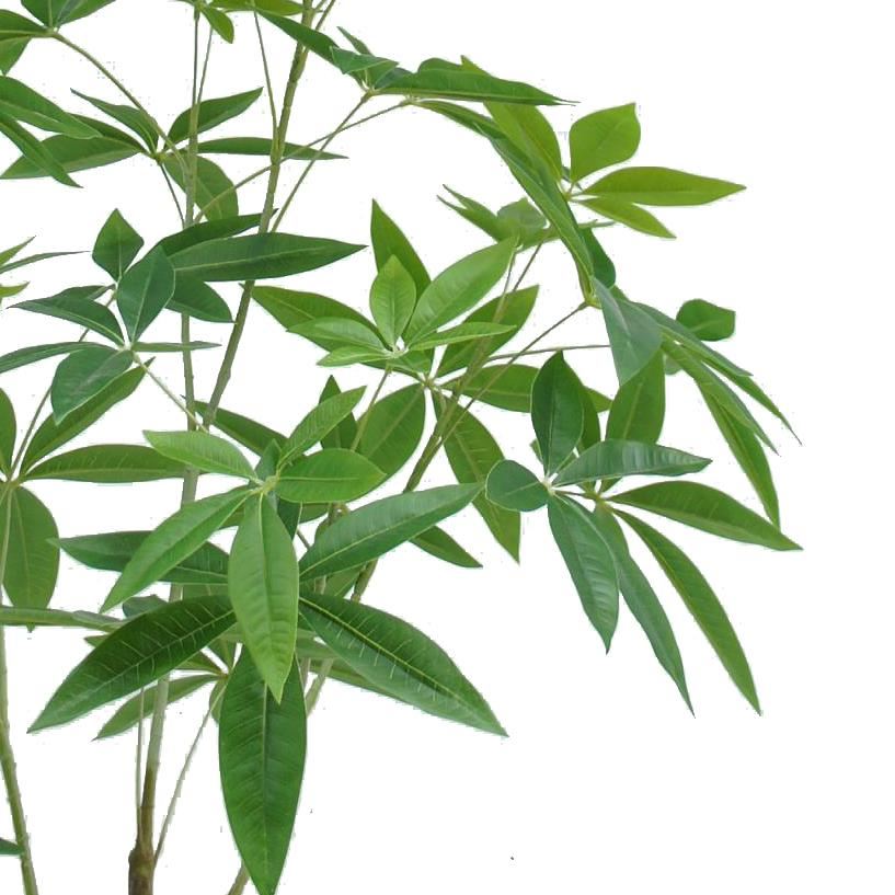 120cm Artificial Money Plant Pachira Realistic Faux Tree - Premium Quality