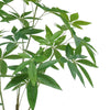 120cm Artificial Money Plant Pachira Realistic Faux Tree - Premium Quality