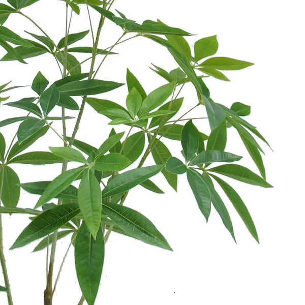 120cm Artificial Money Plant Pachira Realistic Faux Tree - Premium Quality