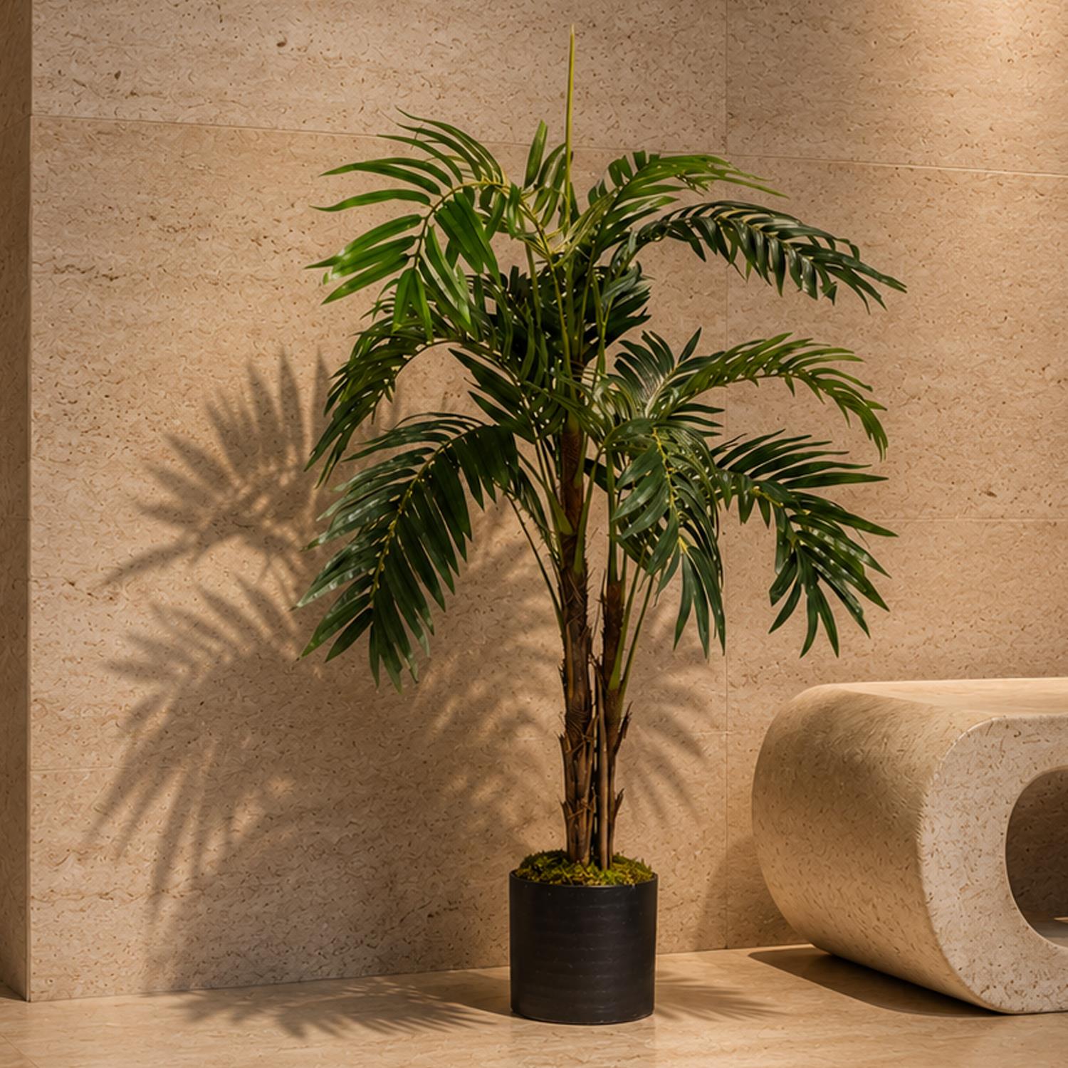 Palm 120cm Palm Plants Areca Tree