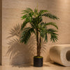 Palm 120cm Palm Plants Areca Tree