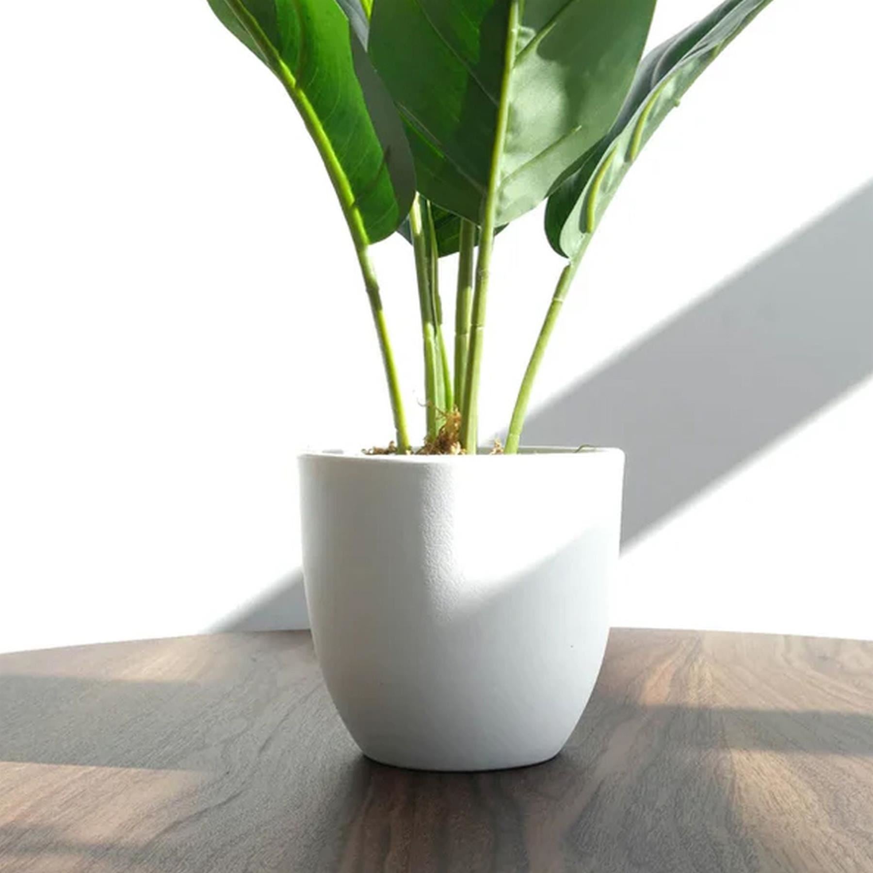 Pack of 6 x 45cm Artificial Aureum Plant - Premium Quality
