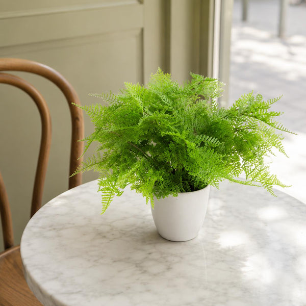 Artificial Fern Plant 30cm Botanical Fern 30cm In Plant Pot