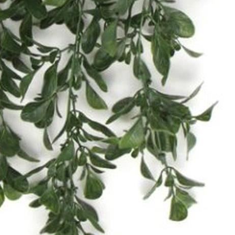 Pack of 6 x Hanging UV and Fire Resistant Artificial Peperomia Plant 68cm - Premium Quality