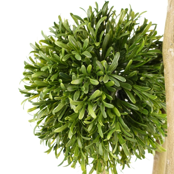 UV Resistant s Topiary 480 Leaves Trunk