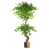 Japanese Fruticosa Ficus Tree Gold Planter 150cm Twisted Trunk Artificial Botanik