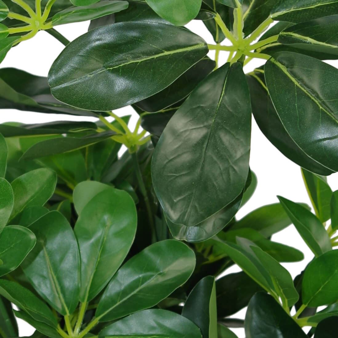 55cm Dark Green Artificial Arboricola Plant