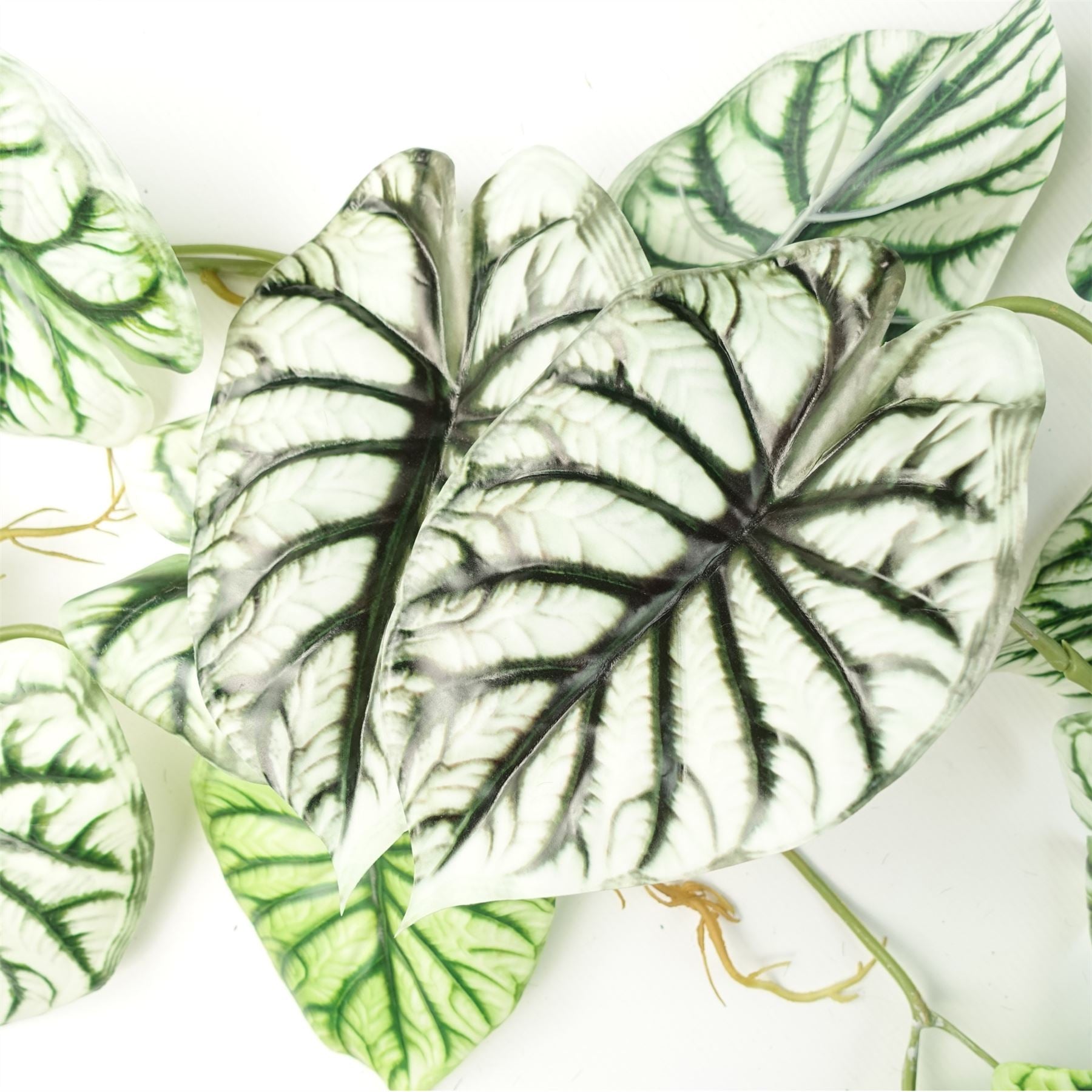 Artificial Hanging Plant Alocasia Dragon Scale Pack x 6