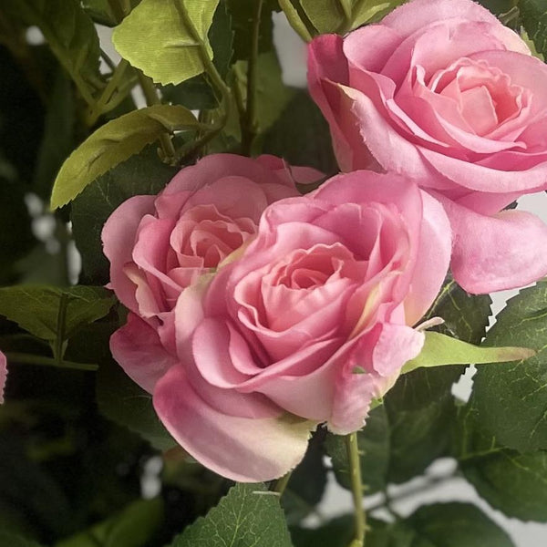 Botanik 60cm Rose Bush Pink Silk Flowers and Leaves