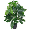 50cm Artificial Money Tree Plant Pachira