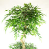 180cm Artificial Twisted Trunk Fruticosa Ficus Tree Triple Ball Topiary 1984 Leaves Gold Metal Planter - Premium Quality