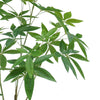 120cm Artificial Money Plant Pachira Realistic Faux Tree