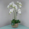 Large Orchid Artificial White 41 REAL TOUCH flowers Botanik