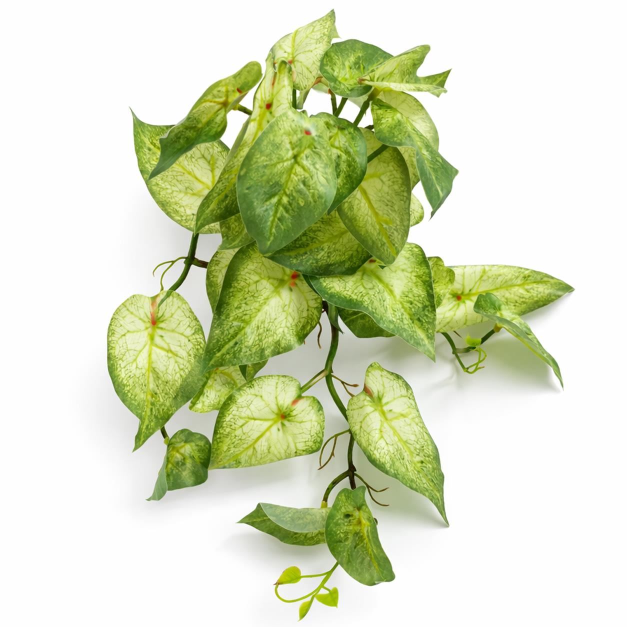 Pack of 6 x 25cm Artificial Trailing Variegated Caladium Vine Plant Light Green