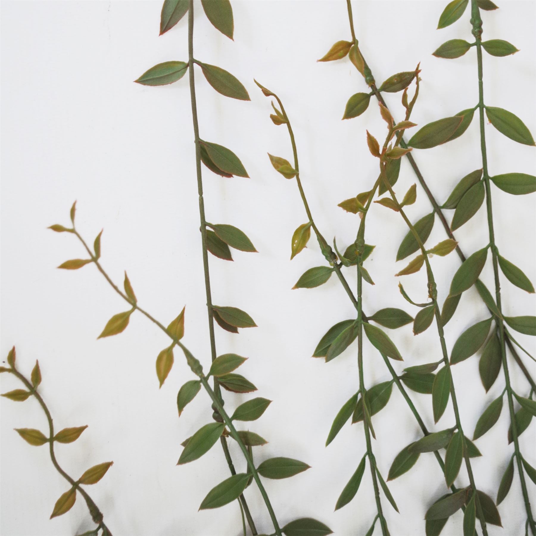 120cm Artificial Hanging String of Pearls
