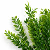 Pack of 6 x 32cm Artificial Boxwood Style Foliage Spray Stem – Faux Green Leaf Bush