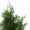 Cypress Cedar Topiary Tree Artificial 90cm Plant