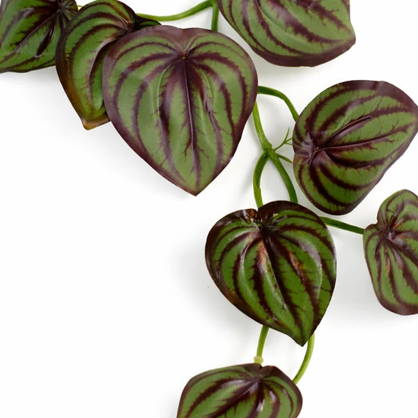 Pack of 6 x 160cm Artificial Watermelon Peperomia Botanik Garland Hanging Decoration - Premium Quality