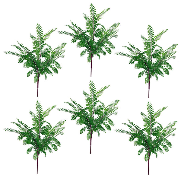 6 x 55cm Himilayan Maidenhair Fern Bush Dark Green Plant - Premium Quality