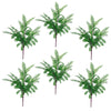 6 x 55cm Himilayan Maidenhair Fern Bush Dark Green Plant - Premium Quality