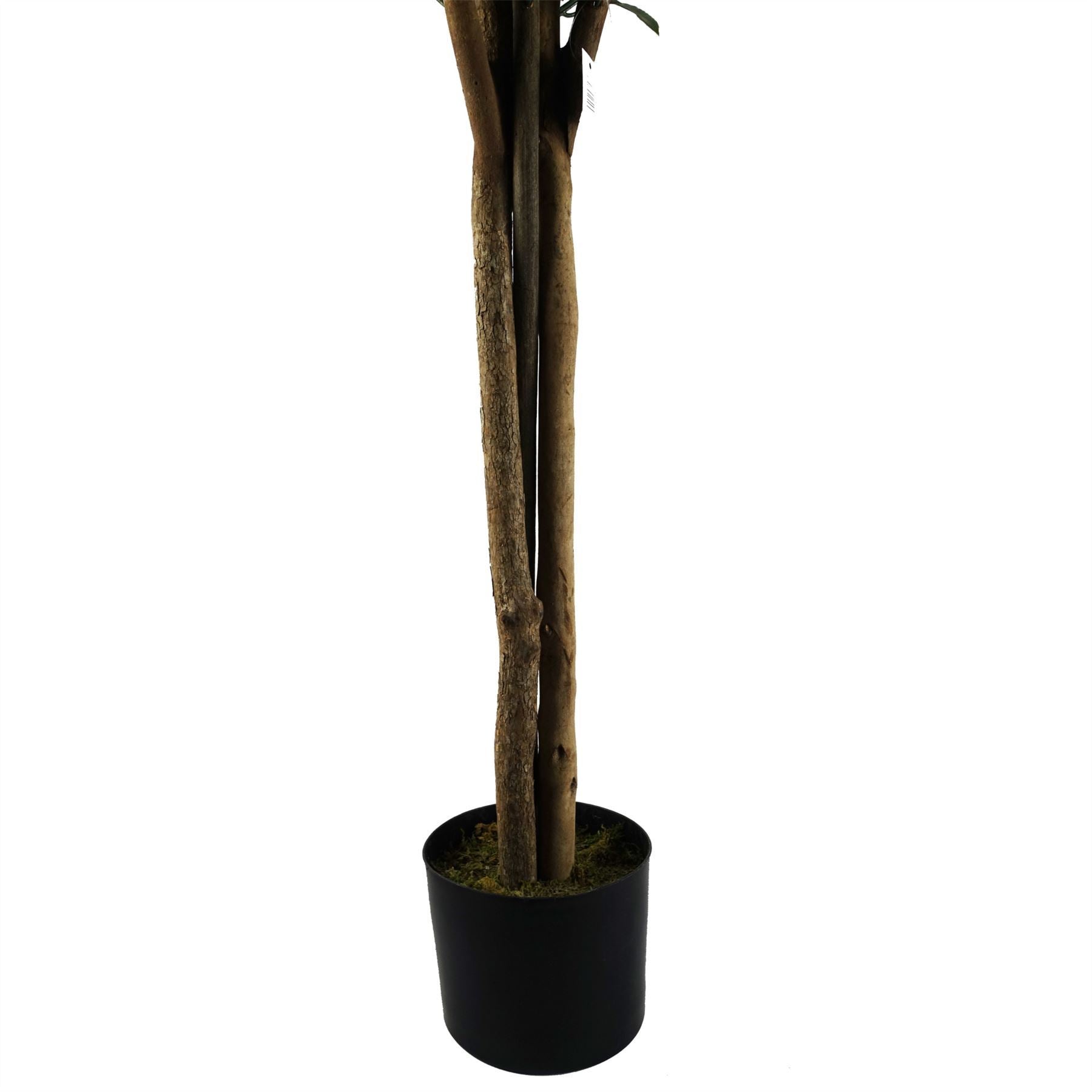 120cm Pair of Bay Tree Laurel UV Resistant Outdoor Topiary - Premium Quality