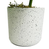 30cm Artificial Variegated Green Potted Monstera Trailing Plant - Premium Quality