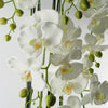 Large White Orchid Plant - Artifcial - 41 REAL TOUCH flowers